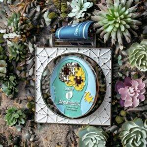 Run for Dementia UK Virtual Challenge for Dementia UK among succulents